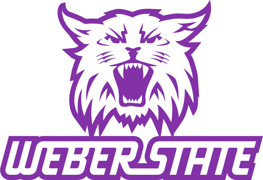 Weber State Wildcats 2008-2012 Secondary Logo v3 iron on transfers for clothing